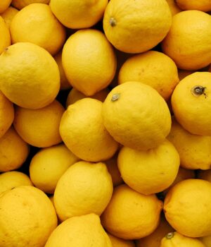 Lemon California Oil <span> 檸檬精油  </span>