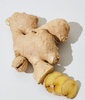 GINGER-ECO <span>  有機薑萃取 </span>