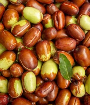 DW Jojoba Colorless<span> 天然荷荷芭油（無色）</span>