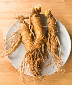 GINSENG EXTRACT GNBN <span> 人蔘萃取</span>