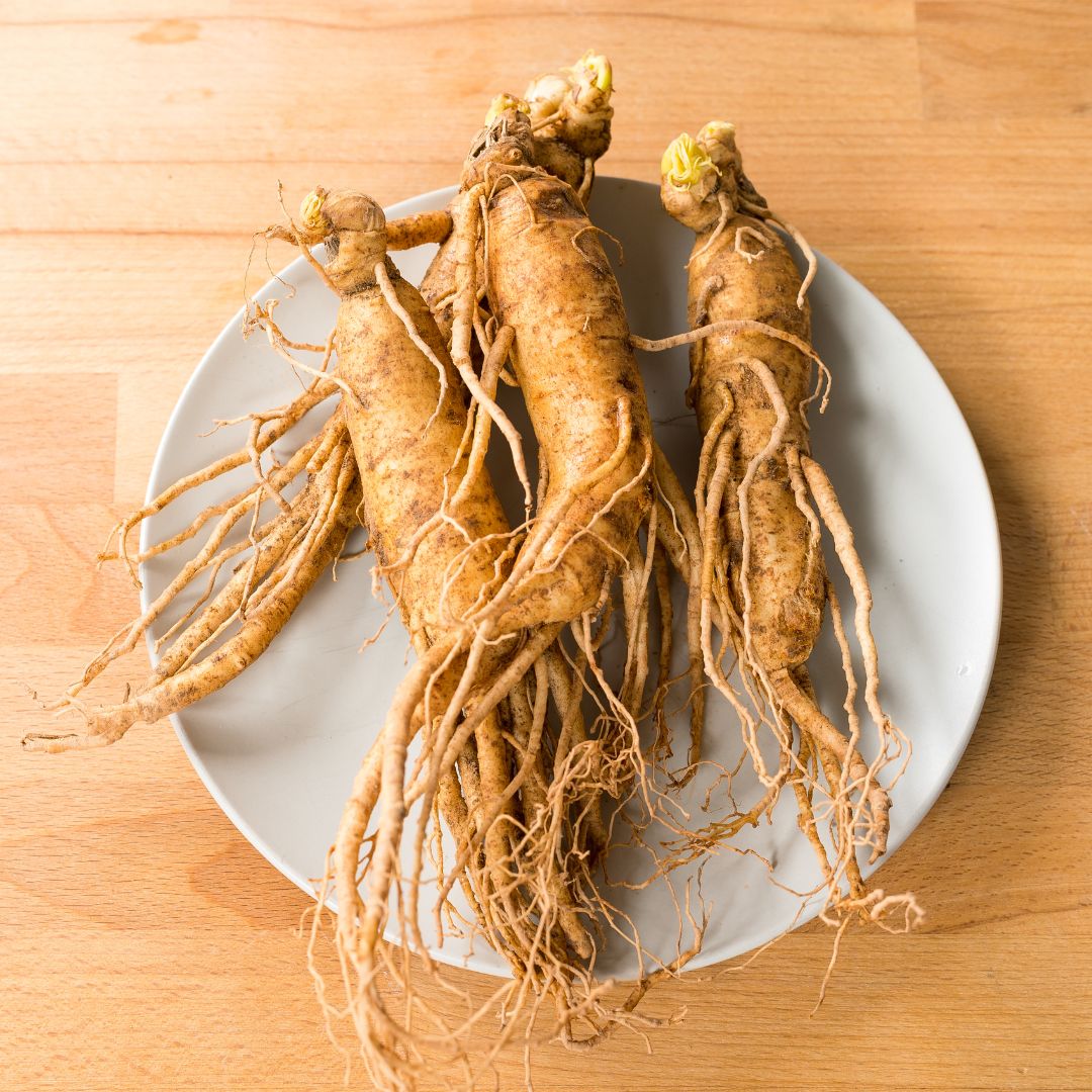 GINSENG EXTRACT GNBN